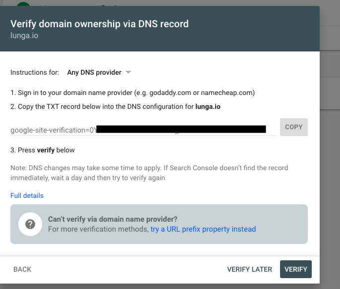 Box appears on verify domain name GCP