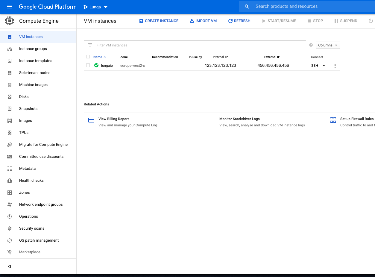 See created VM instance google cloud