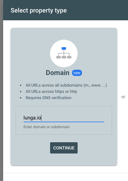 Type domain name in verify box